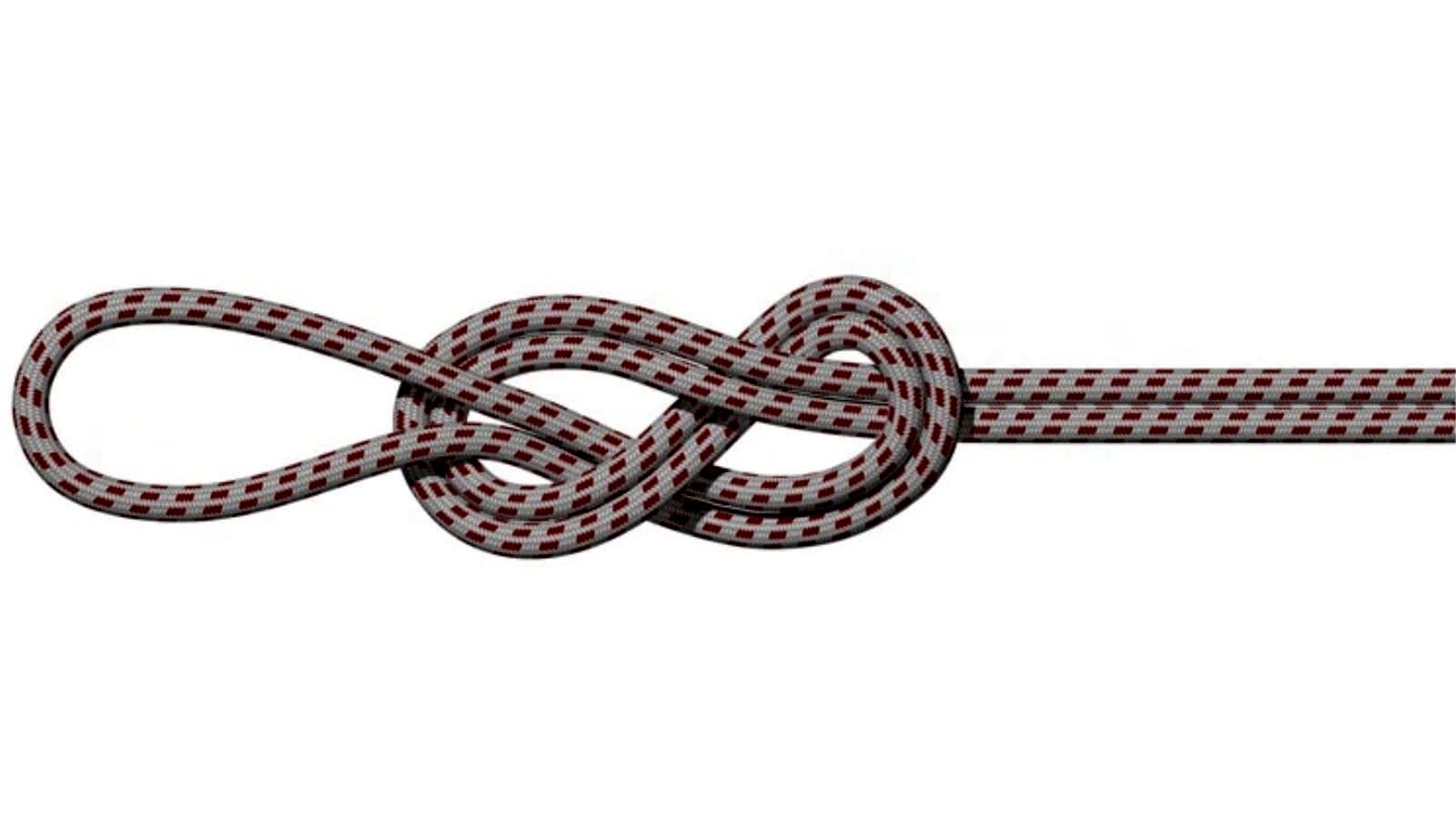 Kapalı Sekizli (Double Figure-Eight on a Bight)